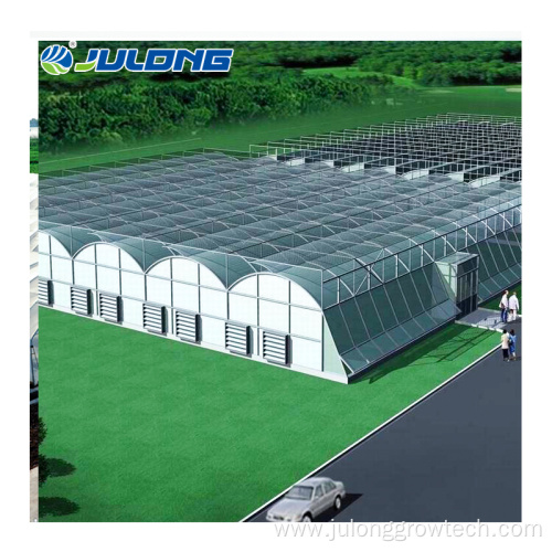 multi span green house for strawberry